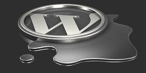 Melting WordPress Logo
